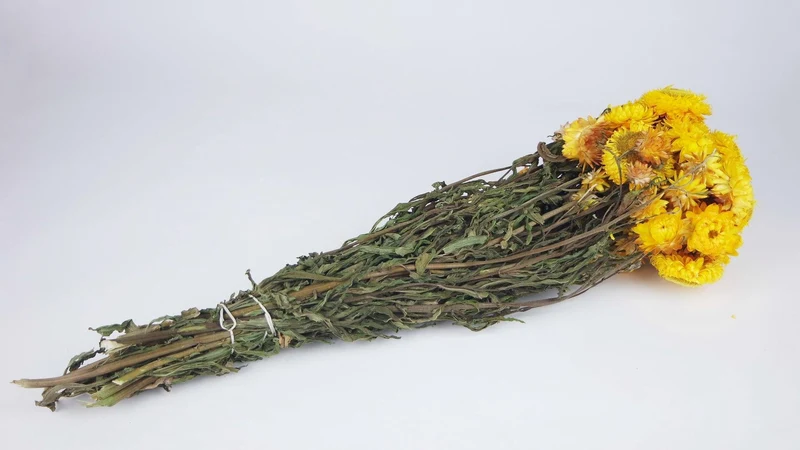 Strohblumen - 1 Strauß - Naturfarbe gelb