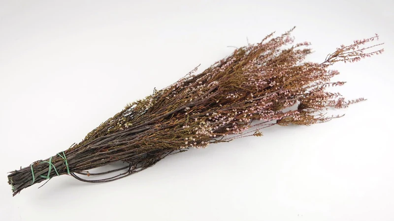 Stabilisiertes Heidekraut - 1 Strauß - Rosa