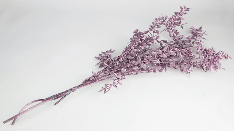 Ruskus Getrocknet - 1 Bund - Frost rosa