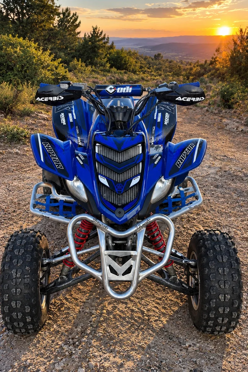 Kit déco Yamaha YFM 660 RAPTOR - SOLVYX
